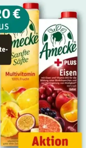 REWE Center Amecke Säfte Angebot