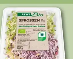 REWE Rewe Bio Sprossen Angebot