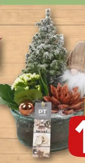 REWE Winterarrangement Angebot