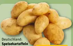 REWE Speisekartoffeln Angebot