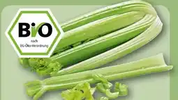 REWE Rewe Bio Staudensellerie Angebot
