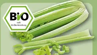 REWE Rewe Bio Staudensellerie Angebot