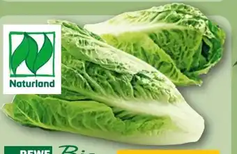 REWE Rewe Bio Romana Salatherzen Angebot