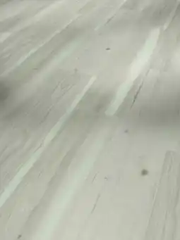 Globus Baumarkt Parador Vinylboden Angebot