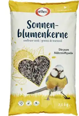 Globus Baumarkt Elles Sonnenblumenkerne Angebot