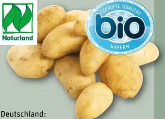 REWE Bio-Speisekartoffeln Angebot