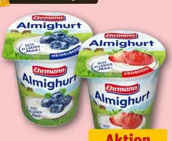 REWE Ehrmann Almighurt Angebot