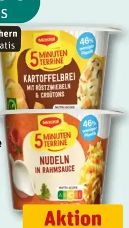 REWE Maggi 5 Minuten Terrine Kartoffelbrei Angebot