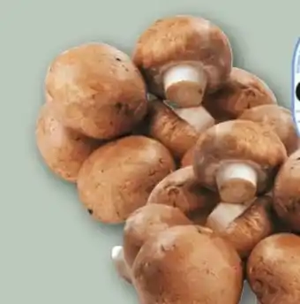 REWE Rewe Regional Braune Champignons Angebot