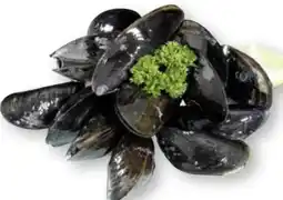 Scheck-in-Center Premium Nordsee Muscheln Angebot