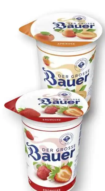 Scheck-in-Center Bauer Der Große Fruchtjoghurt Angebot