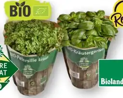 Scheck-in-Center Unsere Heimat Echt & Gut Bio Petersilie kraus Angebot