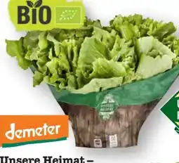 Scheck-in-Center Unsere Heimat Echt & Gut Bio-Endivien Angebot