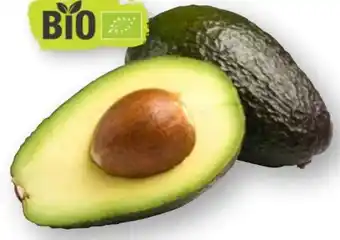 Scheck-in-Center Bio-Avocados Angebot