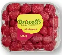 Scheck-in-Center Driscoll's Himbeeren Angebot