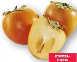 Scheck-in-Center Kaki Persimon Angebot