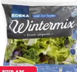Scheck-in-Center Edeka Salatmischung Wintermix Angebot