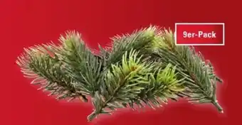 Scheck-in-Center Tannen-Dekozweige Angebot