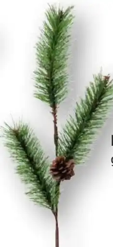 Scheck-in-Center Weihnachts Tannenzweige Angebot