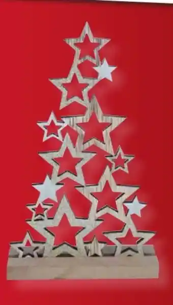 Scheck-in-Center Aufsteller Stern Angebot