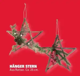 Scheck-in-Center Hänger Stern Angebot