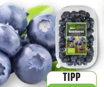Edeka Edeka Bio Bio-Heidelbeeren Angebot