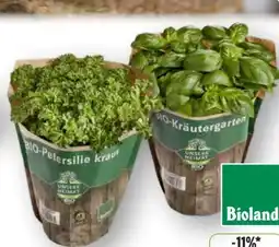 Edeka Unsere Heimat Echt & Gut Bio Petersilie kraus Angebot