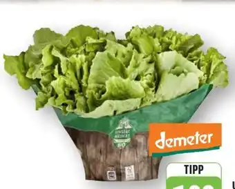 Edeka Unsere Heimat Echt & Gut Bio-Endivien Angebot
