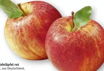 Edeka Gut & Günstig Tafeläpfel Angebot
