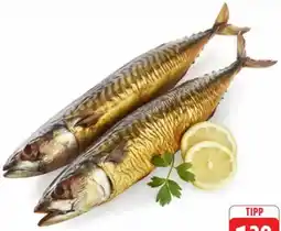 Edeka Geräucherte Makrele Angebot