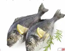 Edeka Dorade Royale Angebot