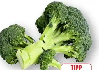 Edeka Gut & Günstig Brokkoli Angebot