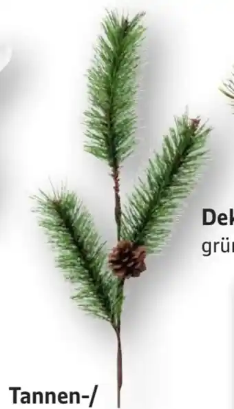 Edeka Weihnachts Tannenzweige Angebot