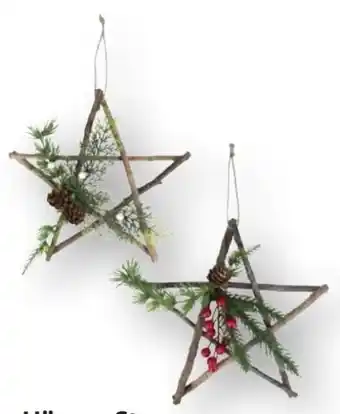 Edeka Weihnachts Sternen-Hänger Angebot