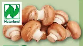 REWE Center Rewe Bio Champignons Angebot
