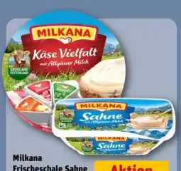 REWE Center Milkana Frischeschale Sahne Angebot