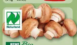 REWE Rewe Bio Champignons Angebot