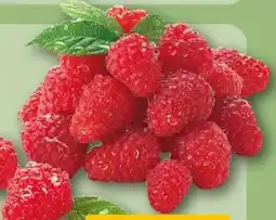 REWE Himbeeren Angebot