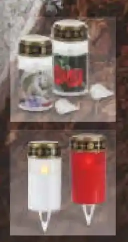 Netto Marken-Discount Dekor LED Grablicht Angebot