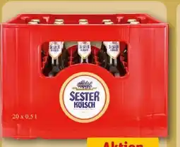 REWE Sester Kölsch Angebot