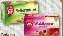 nahkauf Teekanne Kräutertee Pfefferminze Angebot