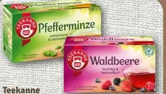 nahkauf Teekanne Kräutertee Pfefferminze Angebot