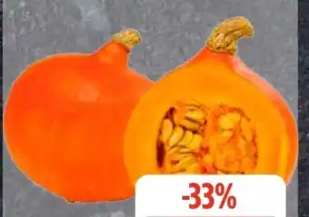 Edeka Frischemarkt Speisekürbis Angebot
