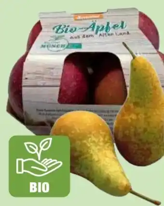 Edeka Bio Tafeläpfel Wellant Angebot