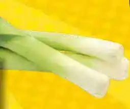 EDEKA Bandelt Porree Angebot