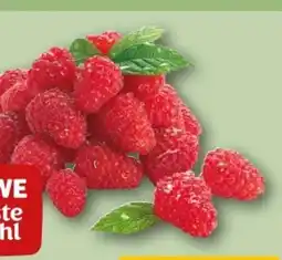 REWE Center Rewe Beste Wahl Frische Himbeeren Angebot
