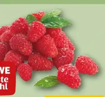 REWE Center Rewe Beste Wahl Frische Himbeeren Angebot