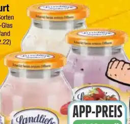 EDEKA Bandelt Landliebe Joghurt Angebot