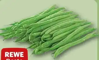 REWE Center Rewe Beste Wahl Buschbohnen Angebot