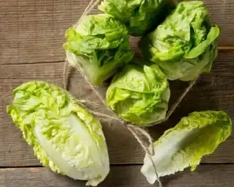 REWE Center Rewe Feine Welt Römersalat Extra fein Angebot